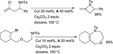 Li's investigation of intramolecular amidation of vinyl halides.