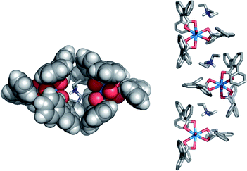 Illustration of the enclosed environment around the Et3NH cation (stick, left) and the 1-D chains formed in the crystalline phase (right).