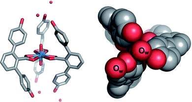 Stick (left) and CPK (right) representation of the [iPr2EtNH]+[UO2(3)3]− crystal structure highlighting the peripheral phenol interaction with water molecules. Water oxygens labeled Ow; hydrogens and cations have been removed for clarity.