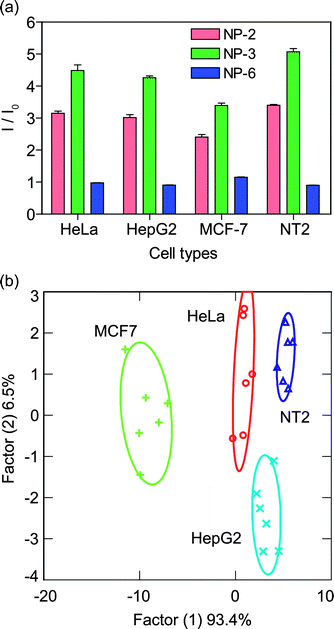 Differentiation of cell types based on cell surfaces: (a) change in fluorescence intensities (mean of six replicates) for four different cancer cell lines using NP-GFP supramolecular complexes; (b) canonical plots of discriminant scores with 95% confidence ellipses for all obtained data points against different mammalian cell types.