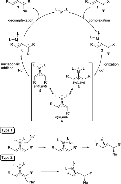 The standard AAA reaction mechanism.