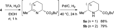 Synthesis of disubstituted cyclic amino acids 5.