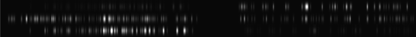 Internally referenced consensus fluorocode aligned at the right-hand end (top) and the left-hand end (bottom) to the fluorocode of the HhaI map (middle). All emitters are shown with a 50 nm PSF.