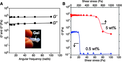 Oscillatory rheology for (A) frequency sweeps and (B) amplitude-sweep of supramolecular hydrogel 1 (A: [1] = 5.0 wt%, B: [1] = 0.5 (blue) and 5.0 wt% (red), in ion-exchanged water) at 25 °C. The inset in panel A shows a fabricated supramolecular hydrogel ([1] = 5.0 wt%, in ion-exchanged water).