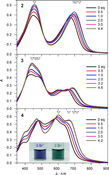 Changes in electronic absorption for 2·BPh4–4·BPh4 upon addition of nBu4NBr in CH2Cl2. Inset: colour changes of 4·BPh4 (1.1 × 10−4 M) upon addition of 0 (indigo) and 2 (teal) equivalents of nBu4NBr. Four wavelengths (open triangles) were selected for fitting the binding constants.