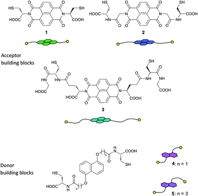 Structures of NDI acceptor (1–3) and DN donor (4 and 5) dithiol building blocks and their cartoon representations.