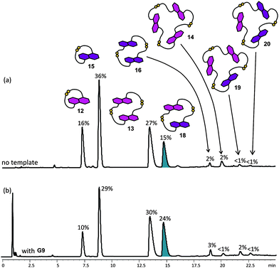 HPLC traces of the mixed DCLs of 5 mM (2.5 mM each) of 4 and 5 (a) without template, and (b) with 2.5 mM of G9. Absorbance was monitored at 292 nm. The DCL material distribution is represented as percentages above the corresponding peaks. The most amplified species is highlighted.22