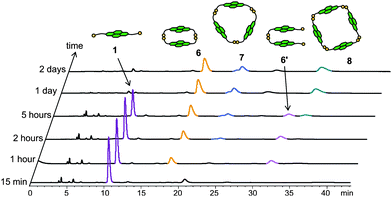 HPLC analysis of a 5 mM DCL of 1 at different time intervals. Absorbance was monitored at 383 nm. Peaks corresponding to different species are coloured accordingly.