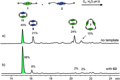 HPLC traces of a 5 mM DCL of 1 and 2 (a) without template and (b) with G2. Absorbance was monitored at 383 nm.22