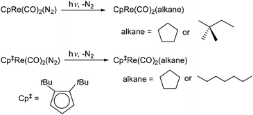 Photochemical reactions of Cp/Cp‡Re(CO)2(N2) studied by a combination of time-resolved infrared and NMR spectroscopies