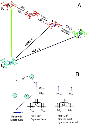 (A) The excited state axial ligation pathways for NiTMP in the presence of ligating pyridine; and (B) time sequence for the electronic configuration changes: 1) photoexcitation induces π → π* transition, 2) intramolecular energy transfer, and 3) 3dz2 electron fills the hole in the ground state π MO.