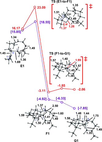 Conversion of E1 to G1. Computed distances (Å) and energies (kcal mol−1) are shown (B3LYP/6-31+G(d,p)//B3LYP/6-31+G(d,p) in red and mPW1PW91/6-31+G(d,p)//B3LYP/6-31+G(d,p) in plum and brackets). Note that the F1-to-G1 transition state structure is lower in energy than F1 at the mPW1PW91/6-31+G(d,p)//B3LYP/6-31+G(d,p) level (mPW1PW91 single point energies on geometries optimized with B3LYP), suggesting that this conversion may actually be barrierless.