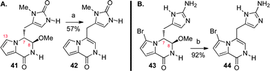 Key observations concerning our bioinspired C-ring synthesis strategy. Attempted cyclization of A) desbromo-pre-agelastatin A (41) and B) imidazole derivative 43. Reagents and conditions: (a) MeSO3H, H2O, 100 °C, 20 min (57%); (b) Dowex, H2O, 100 °C (92%).