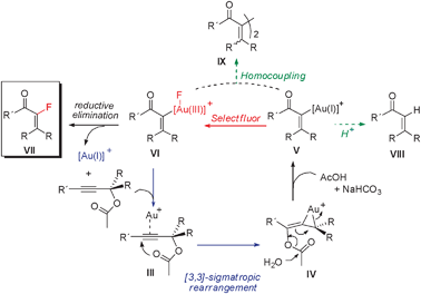 Proposed mechanistic pathway.