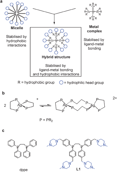 (a) Schematic of micelles, metal complexes and hybrid structures, (b) equilibrium between mono-silver and di-silver complexes of diphosphines and (c) structures of dppe and L1.