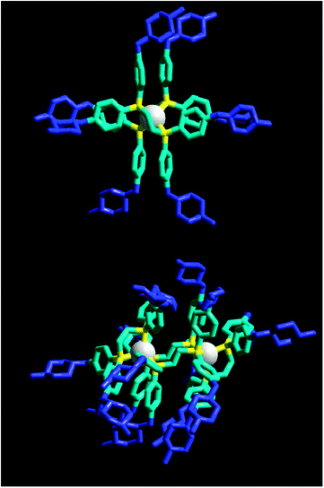 Modelled structures of [Ag(L1)2]+ (above) and [Ag2(L1)4]2+ (below) showing their pseudo-micellar structures. Piperazine substituents = blue, Ag = white, and P = yellow. For clarity H-atoms are not shown.