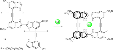 
          Chloride induced helix formation by compound 12.