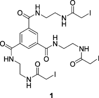 Structure of C3-symmetric iodoacetoamidated core molecule 1