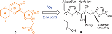 Retrosynthetic analysis of ABC motif of PTXs.