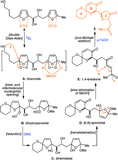 A mechanistic explanation.