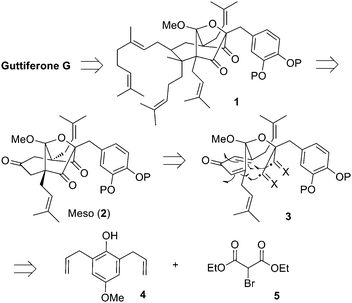 
          Guttiferone G retrosynthesis.