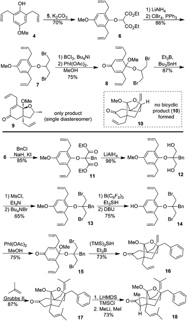 Synthesis of the bridged bicyclic core of the guttiferones.