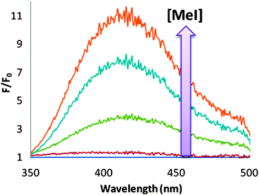 Fluorescence increase on addition of aliquots of MeI (0 to 0.6 mM) to a solution of pyridine 1 (1.0 mM) in CH2Cl2 (λex = 260 nm); F/F0versus wavelength (nm) for increasing [MeI].