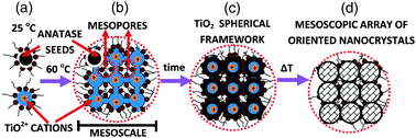 (A) Reverse nanomicelles containing TiOSO4 are produced at 25 °C. (B) and (C) At 60 °C these nanomicelles can self-assemble to form sub-100 nm structures that by partial hydrolysis of TiOSO4 produces a sub-100 nm TiO2 spherical framework. (D) Increasing temperature produces sub-100 nm mesocrystalline structures with interstitial porosity partially filled with surfactants. Mesoporosity is fully generated after removing the interstitial surfactant. As we describe in the main text the presence of anatase nanoseeds is essential for the stability of the solid framework.