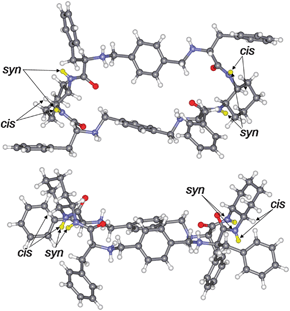 Top and side views of one conformation observed in the crystal structure of [6a·4HClO4]. The other geometries are given in the ESI.
