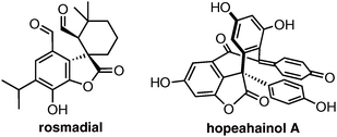 Naturally occurring and biologically active benzofuranones.