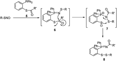 Bis-ligation of SNO.