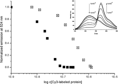 Normalized emission of the discotic donor (3, 1 μM) at 524 nm plotted against the concentration of Cy3® labelled protein (Cy3-SA (■) or Cy3-AB (⊠)). Inset: Fluorescence spectra of the Cy3-AB titration series. Spectra were recorded by using an excitation wavelength of 340 nm, and measured in phosphate buffer (pH 7.3).