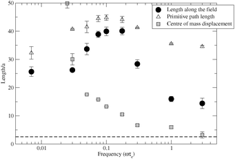 Simulations of chain stretch and centre of mass displacement. The dashed line is the equilibrium chain length along the field.