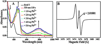 (A) Absorption spectra of dyad 1 recorded in degassed CH2Cl2 (1.0 × 10−5 M) after UV (310 nm) irradiation for 110 s and further addition of different amounts of Pb2+ [Pb(ClO4)2]. (B)The ESR spectrum of dyad 1 (1.0 × 10−3 M) in CH2Cl2 after UV light (310 nm) irradiation for 25 min in the presence of 5.0 eq. of Pb2+ [Pb(ClO4)2] recorded at room temperature; the solution was degassed before measurement.