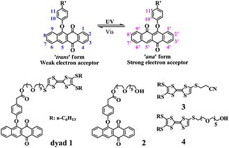 
          Photoisomerization of phenoxynaphthacenequinone and chemical structures of compounds 1–4.