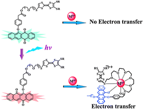 Illustration of the mechanism for the intramolecular electron transfer after UV light irradiation and introducing metal ions.