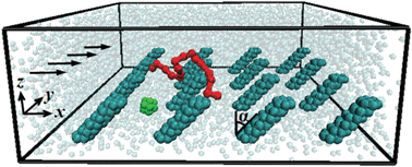 Snapshot illustrating suspension components in a microfluidic channel flow. The bottom channel wall is decorated with an array of tilted nano-posts. The arrows indicate the flow direction due to an imposed pressure gradient. For clarity, only one representative nanoparticle (green) and one polymer chain (red) are shown, whereas channel walls are not shown.