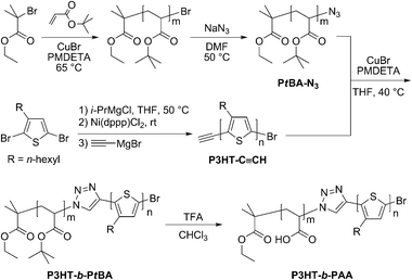 Synthesis of P3HT-b-PtBA and P3HT-b-PAA.