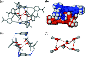 Capped stick (a) and space-filling (b) representations of the solid-state structure of dimeric (1U)2 generated using X-ray coordinates. The O–H⋯O and C–H⋯F interactions are represented by dotted lines, the close-up views of which are provided in partial structures (c) and (d).