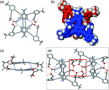 Capped stick and space-filling representations of the solid-state structure of dimeric (1F)2 generated using X-ray coordinates: (a) and (b) top view; (c) side view. In (d) is shown the extended structure of hydrogen-bonded (1F)2 with hexameric OH cluster motif highlighted within a red box. The O–H⋯O and C–H⋯F interactions are represented by dotted lines.