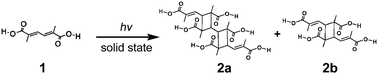 Solid-state photodimerisation of 1 to give 2a and 2b.