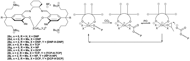 Salen Co complexes with unusual bidentate ligand coordination mode and proposed copolymerisation mechanism.