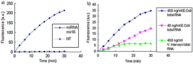 (a) Detection of miRNA. NT = no template was added; (b) E. coli-specific probes detect E. coliribosomal RNA better than that of control RNA from V. harveyi. (a): [Probe A] = [probe B] = 1 μM, [template] = 10 nM, [BfuCI] = 0.1 U μL−1. (b): [Probes A] = [probe B] = 200 nM, [BfuCI] = 0.1 U μL−1.