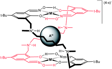 Anion encapsulated Cu2L2 metallo-macrocycle.