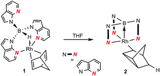 Reaction of [Rh{κ3-NNH-HB(azaindolyl)3}(NBD)] (1) to form [Rh{κ4-NNBN-B(azaindolyl)3}(nortricyclyl)] (2).