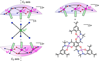 Building block approach for the construction of the heptanuclear complexes [Mccc66Mttt]3+3+ (Mt: terminal metal ion of the triplesalen building block; Mc: central metal ion of the hexacyanometallate). The symmetry of the trinuclear triplesalen building blocks is imposed on the molecular structure of the supramolecular assembly.