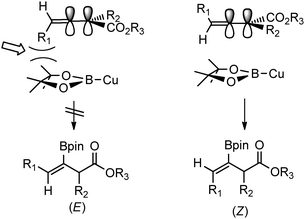 Steric interactions lead to exclusive formation of the (Z)-isomer.