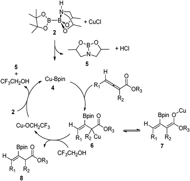 Proposed reaction mechanism.