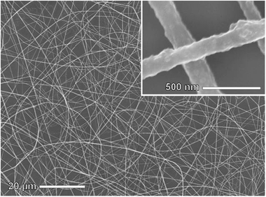 
          SEM of ZIF-8 nanoparticles in PVP.