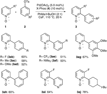 Direct arylations of electron-deficient pyridine N-oxides 1.